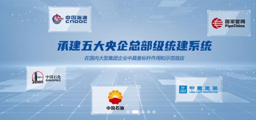 普聯(lián)軟件300996在中國,國資委 證監(jiān)會 銀保監(jiān)會 上交所 深交所等監(jiān)管機(jī)構(gòu)要